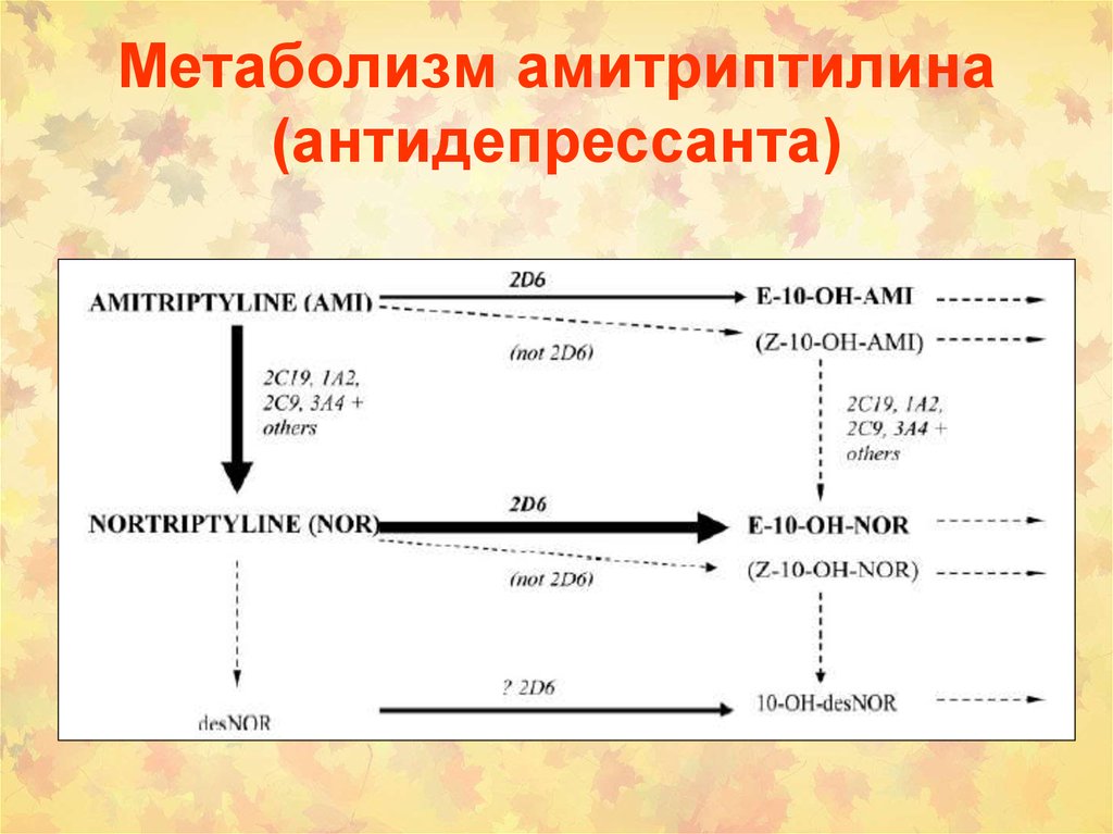 Вторая фаза. Метаболизм амитриптилина. Метаболизм антидепрессантов. Биотрансформация амитриптилина. Амитриптилин биотрансформация.