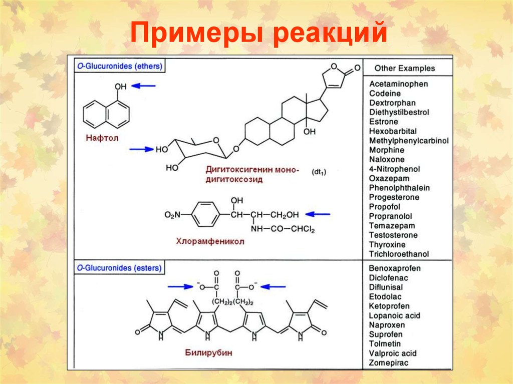 Ферменты детоксикации. Реакции 2 фазы биотрансформации. Реакции биотрансформации ксенобиотиков. Реакции 2 фазы метаболизма ксенобиотиков. Реакции второй фазы биотрансформации.