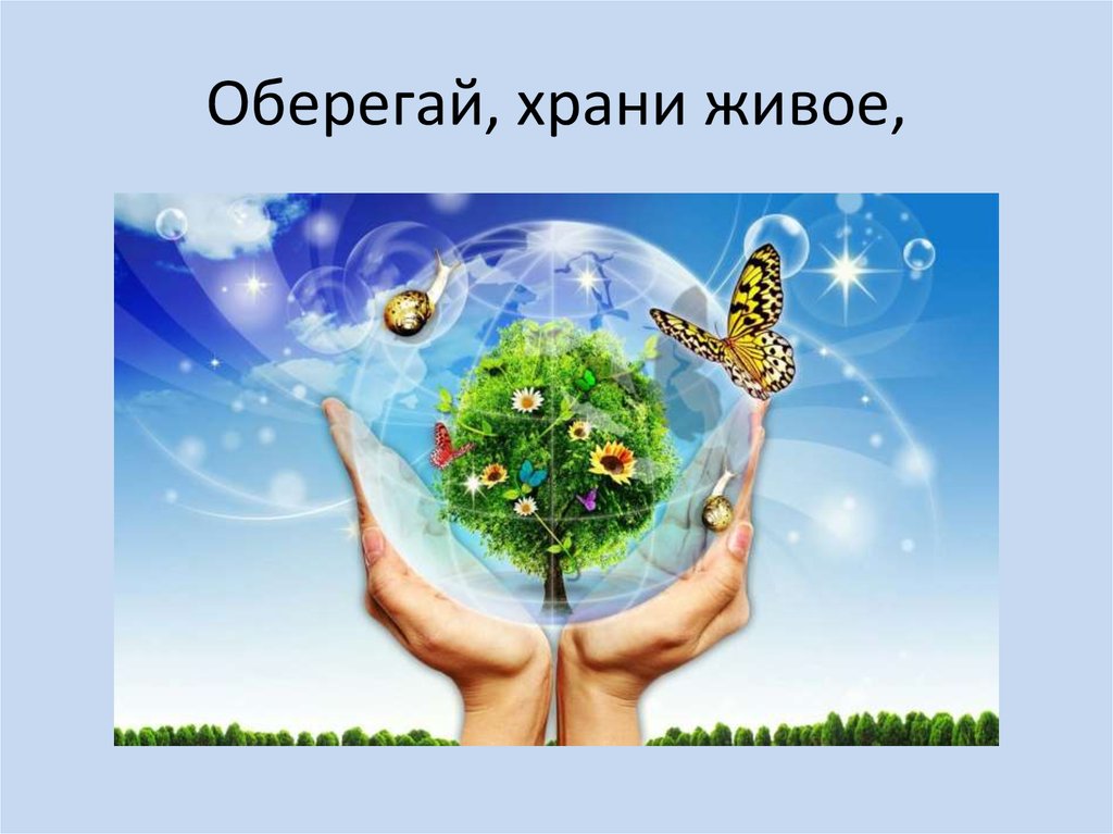 Оберегай, храни живое,