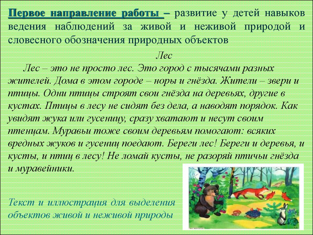 Развитие представлений о природе. Наблюдения в живой природе. Наблюдений за объектами неживой и живой природы. Наблюдение за неживой природой. Ознакомление детей дошкольников с живой и неживой природой.