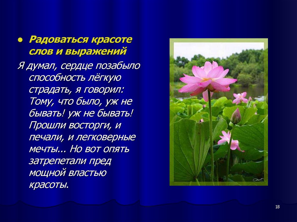 Красота текст. Стих я думал сердце позабыло. Выражение со словом красота. Я думал сердце позабыло Пушкин.