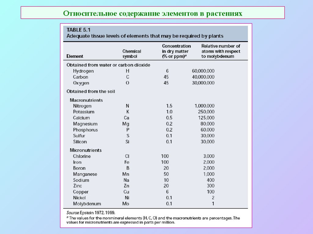 Растения содержащие минералы