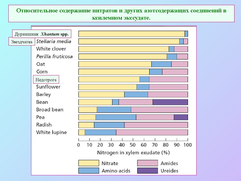 Относительное содержание. Ранг нитратов. Нитриты и другие. Карты содержания нитратов.