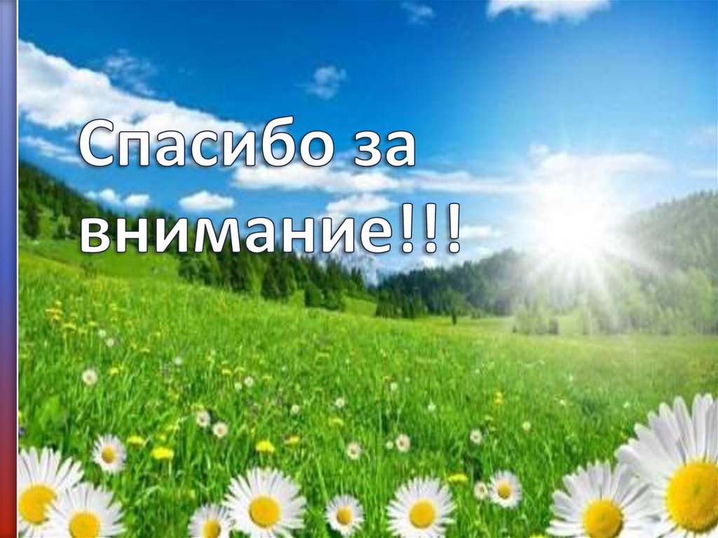 Спасибо за внимание!!!