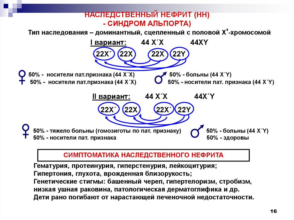 Синдром альпорта у детей фото