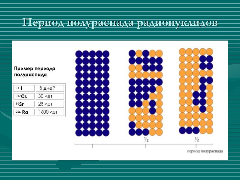 Период полураспада это в физике