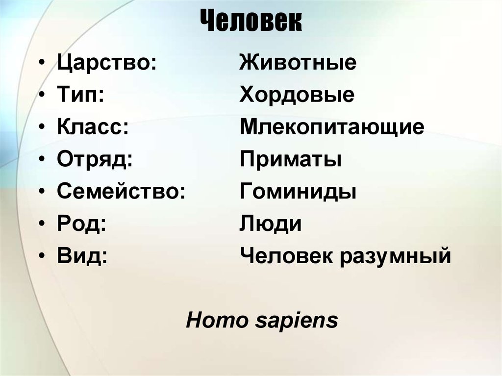 Род класс вид. Человек класс отряд семейство род вид. Человек царство Тип класс отряд семейство. Человек род вид семейство царство Тип. Человек вид род семейство отряд класс Тип Подцарство царство.