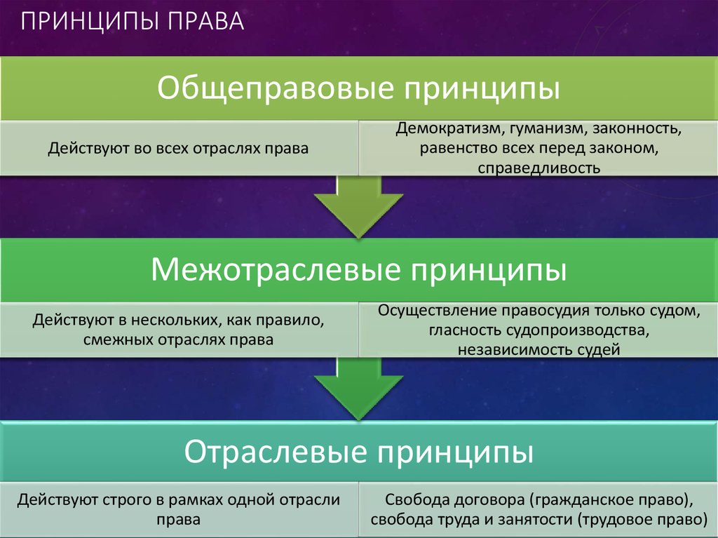 Принципы правовой жизни