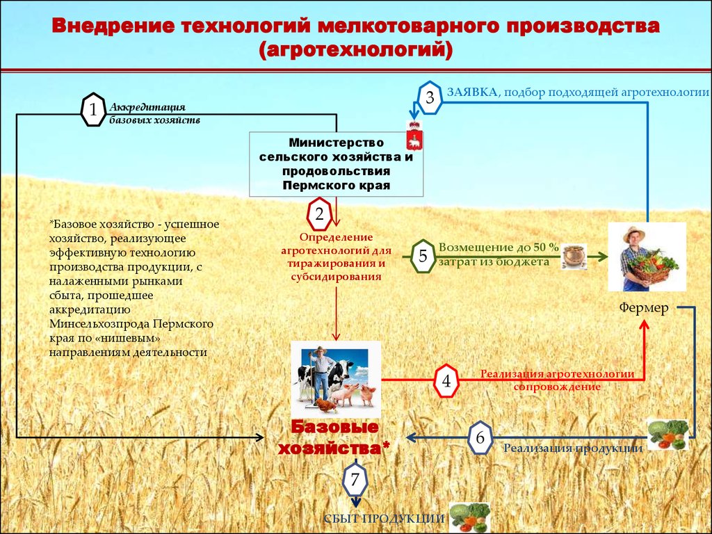 Проект внутрихозяйственного землеустройства крестьянского фермерского хозяйства