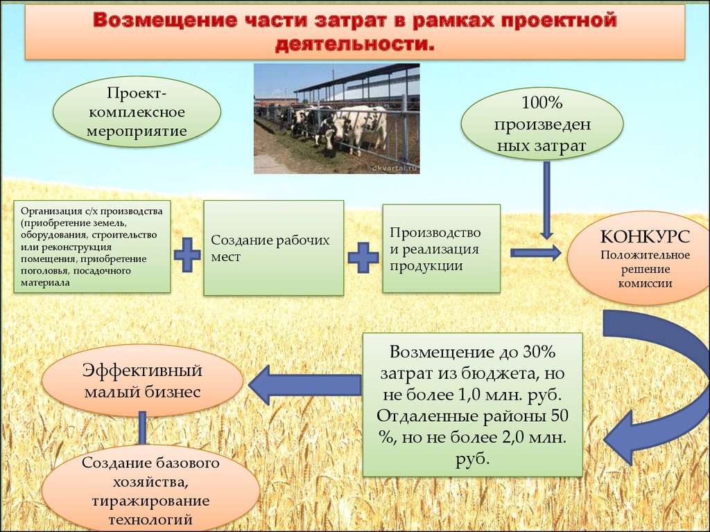 Проект экспорт продукции апк