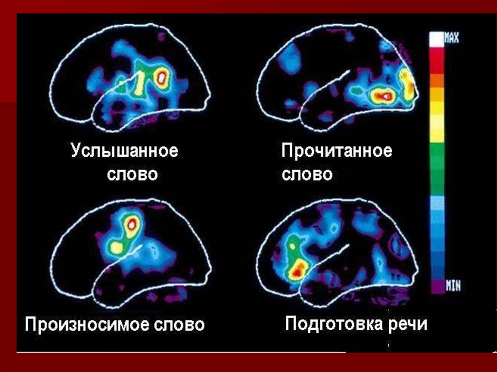 Сигнальная система картинки