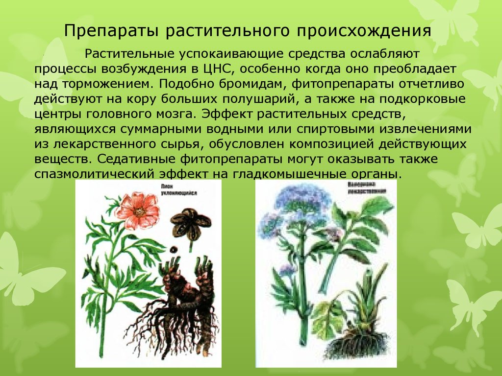 Примеры растительного происхождения. Седативные средства растительного происхождения. Седативные лекарственные растения. Седативные лекарственные растительные препараты это. Растения ноотропы.