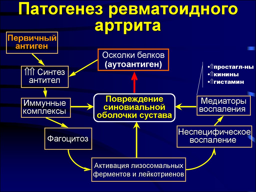 Хронические системные заболевания. Схема развития ревматоидного артрита. Этиологические факторы ревматоидного артрита. Ревматоидный артрит аутоиммунное заболевание патогенез. Аутоантиген ревматоидного артрита.