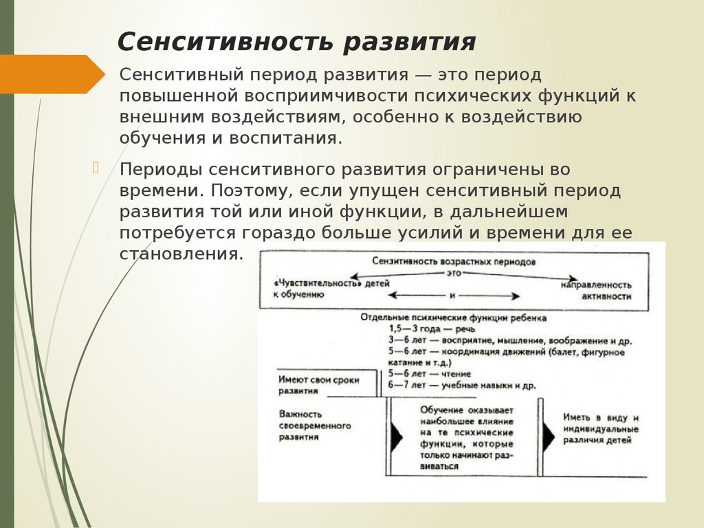 Сенситивные периоды обучения