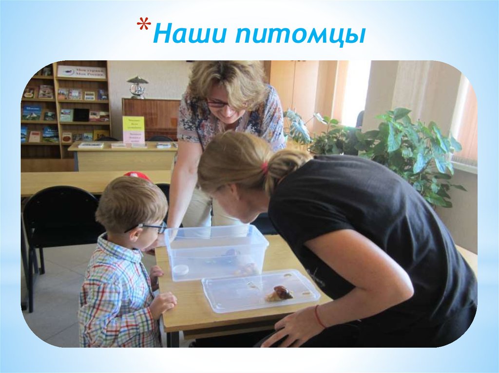 Наши питомцы