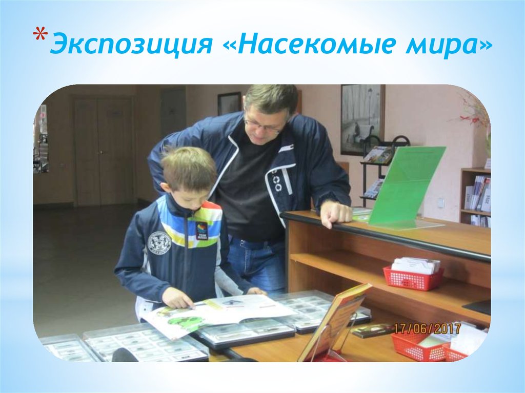 Экспозиция «Насекомые мира»