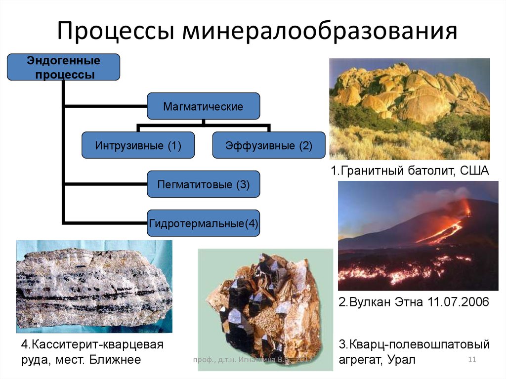 Эндогенные процессы презентация