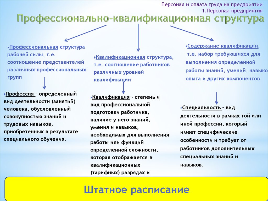 План потребность в рабочей силе и подготовке квалифицированных кадров включает