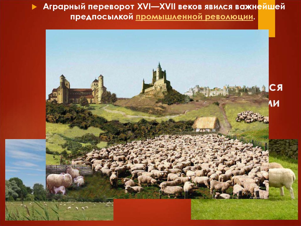 Аграрная революция 18 век. Аграрный переворот в Англии 16 век. Аграрная революция в Англии что такое огораживание. Огораживание Англии XVI век. Аграрная революция в Англии 18 век.