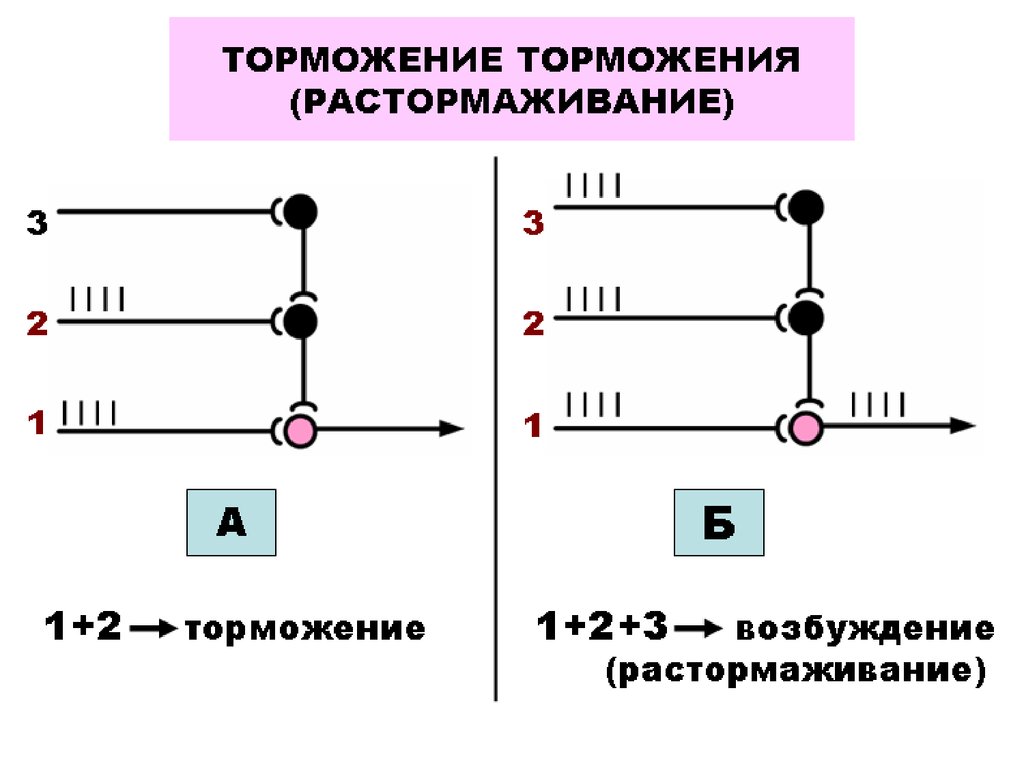 Медиаторы возбуждения