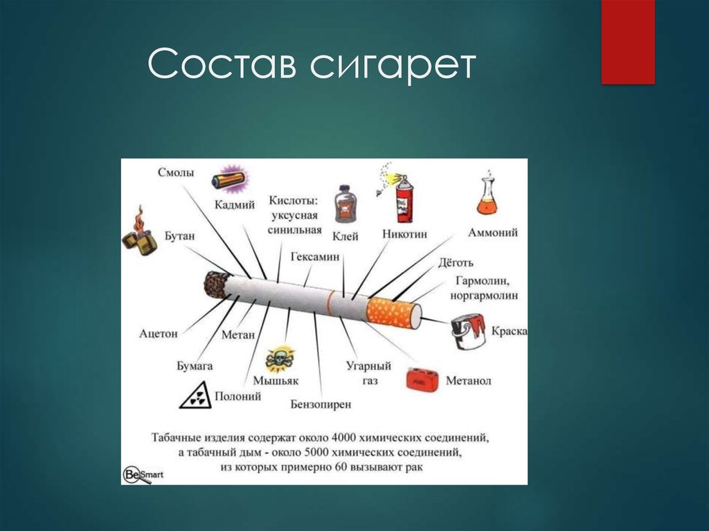 Что содержится в сигаретах. Состав сигареты. Строение сигареты. Состав сигареты и табачного дыма. Сигарета состоит из.