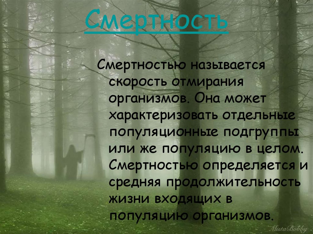Как называется смертность. Как называется смертность