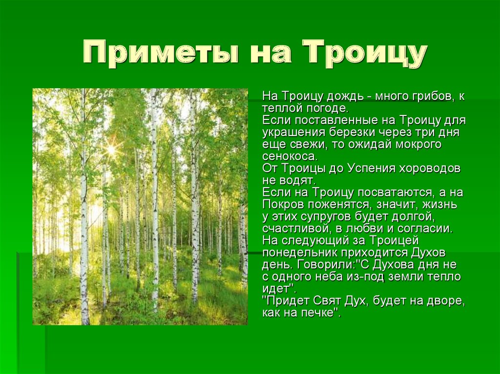 Можно в троицу ходить в церковь. Приметы на Троицу. Приметы на Троицу что нельзя делать. Троица приметы традиции. Праздник Троица приметы.