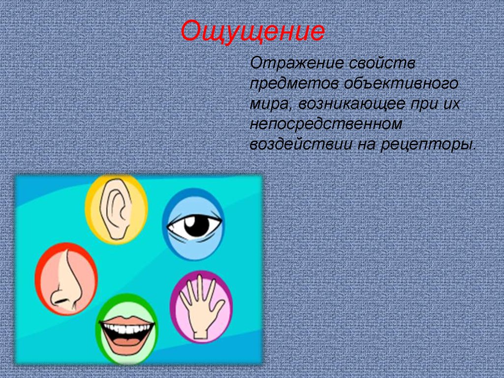 Отражающие свойства. Отражение свойств предметов объективного мира. Ощущение отражает мир. Ощущения отражают. Отражение чувств ребенка.