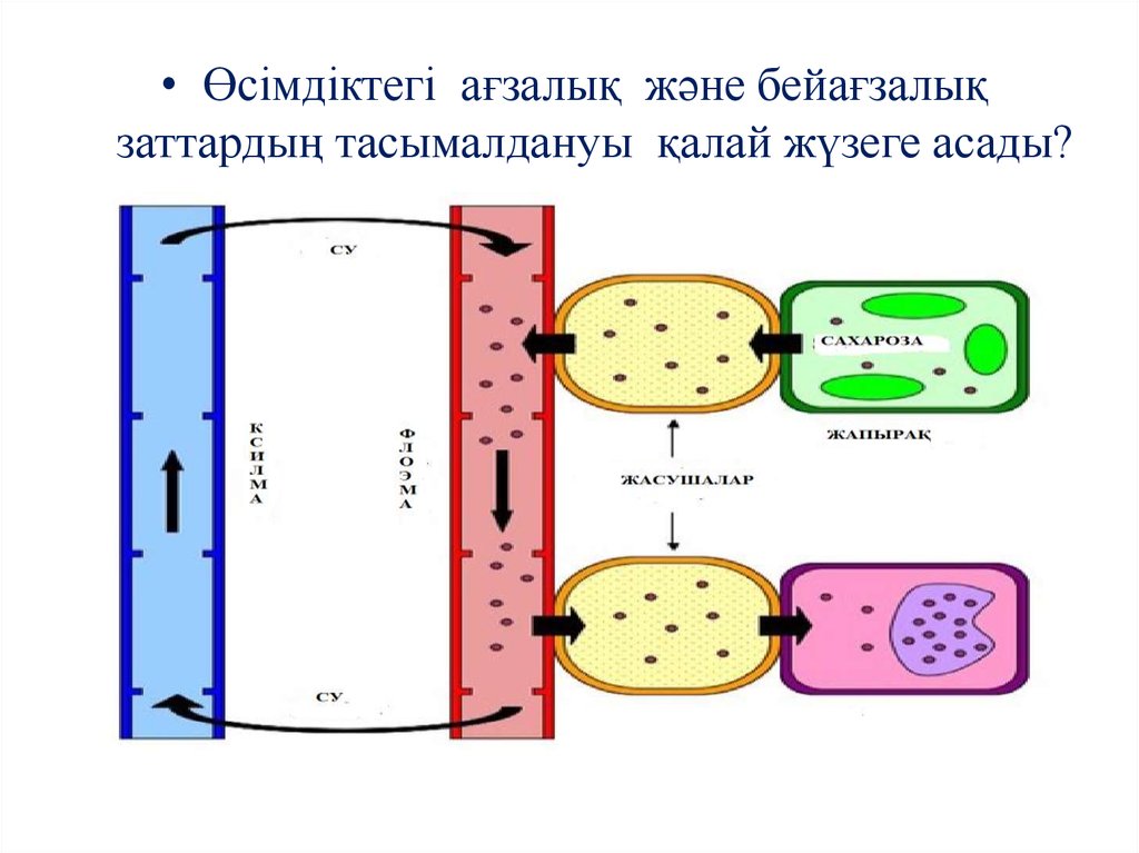 Және де