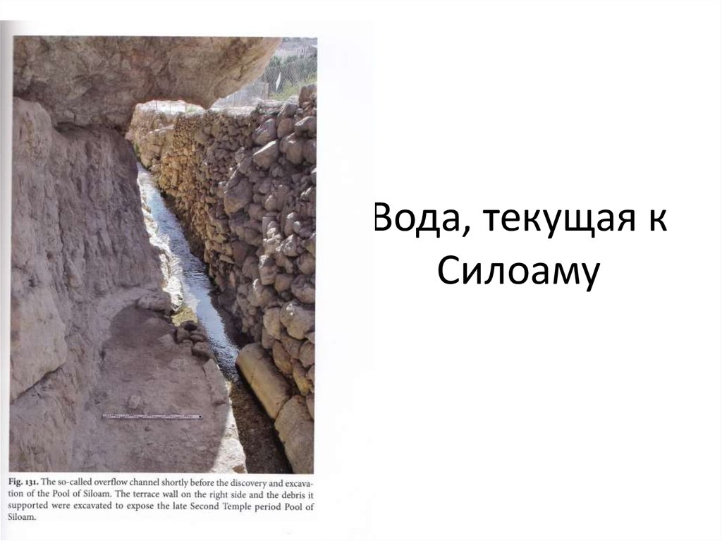 Вода, текущая к Силоаму