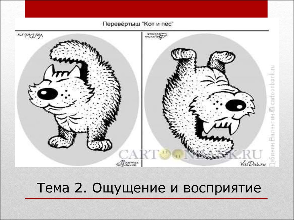 Тема 2. Ощущение и восприятие - презентация онлайн