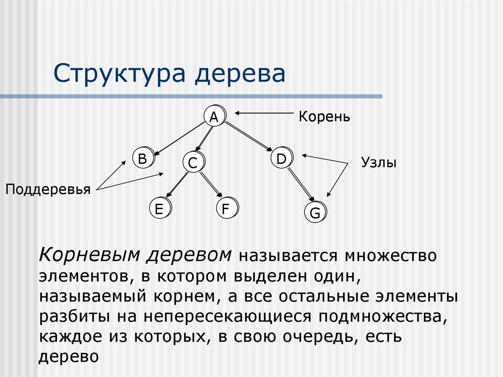 Элементы дерева графа. Дерево (структура данных). Структура дерева. Узлы в дереве Информатика.