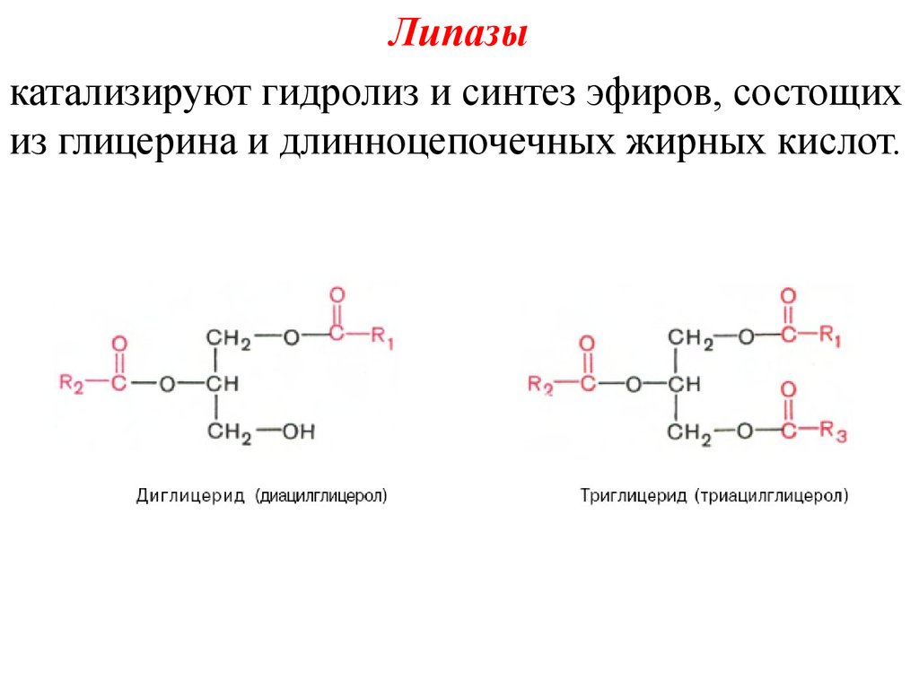 Ферменты катализирующие синтез. Липаза химическая формула. Какие реакции катализирует липаза. Липаза фермент формула. Липаза катализирует реакцию.