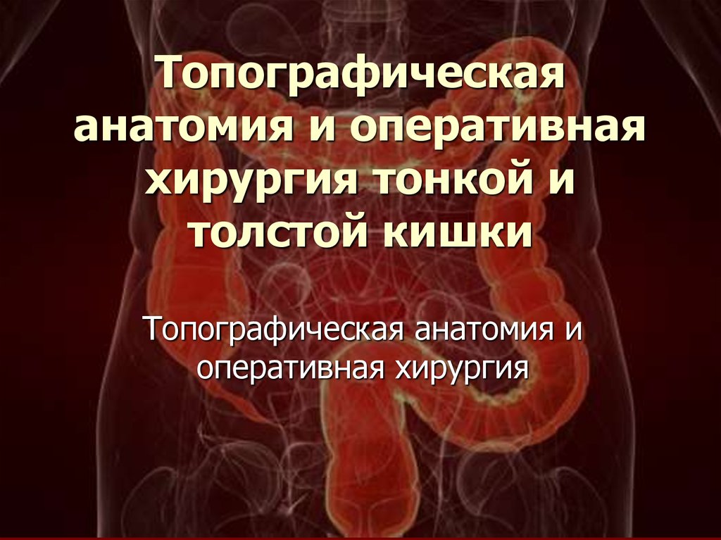 Анатомия и оперативная хирургия. Топографическая анатомия тонкой и толстой кишки. Тонкая и толстая кишка топографическая анатомия. Операция на кишечнике топографическая анатомия. Операции на толстом кишечнике топографическая анатомия.