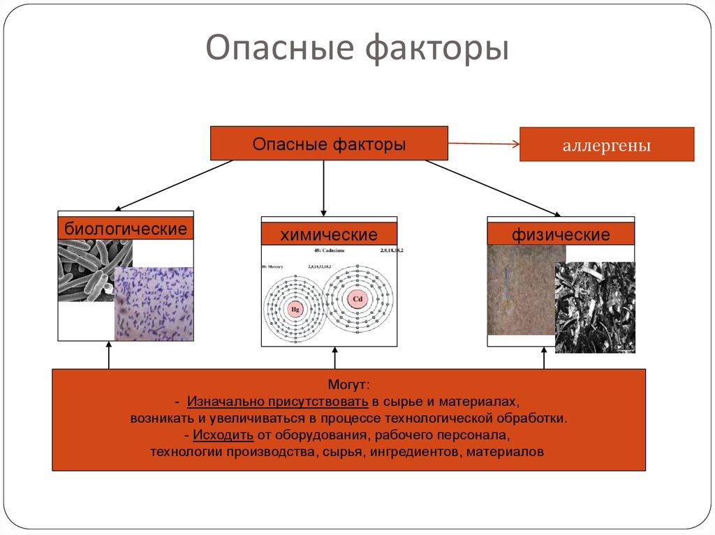 Опасные факторы риска. Биологические опасные факторы ХАССП. Химические опасные факторы ХАССП. Опасные факторы биологические химические физические и аллергены. Физические факторы опасности.