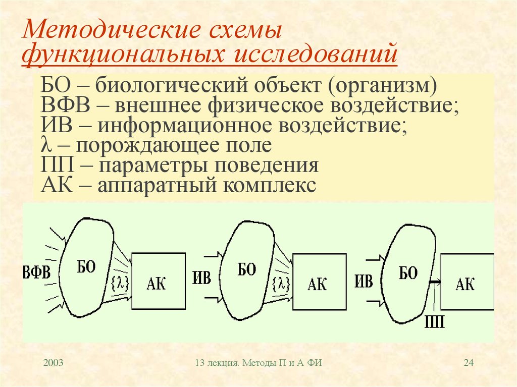 Данные функционального исследования