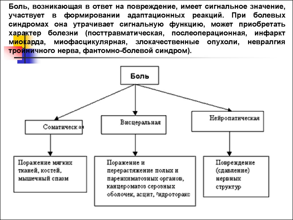 Виды боли. Виды боли схема. Боль виды боли. Анальгетики фармакология лекция.