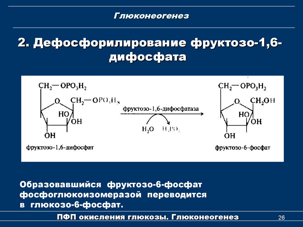 Фруктозо 6 дифосфат. Фруктозо 1 6 фосфат в глюкозо 6 фосфат. Фруктоза 1 6 дифосфат в фруктозо 6 фосфат. Образование фруктозо 6 фосфата. Фруктозо-6-фосфат фруктозо-1.6-дифосфат.