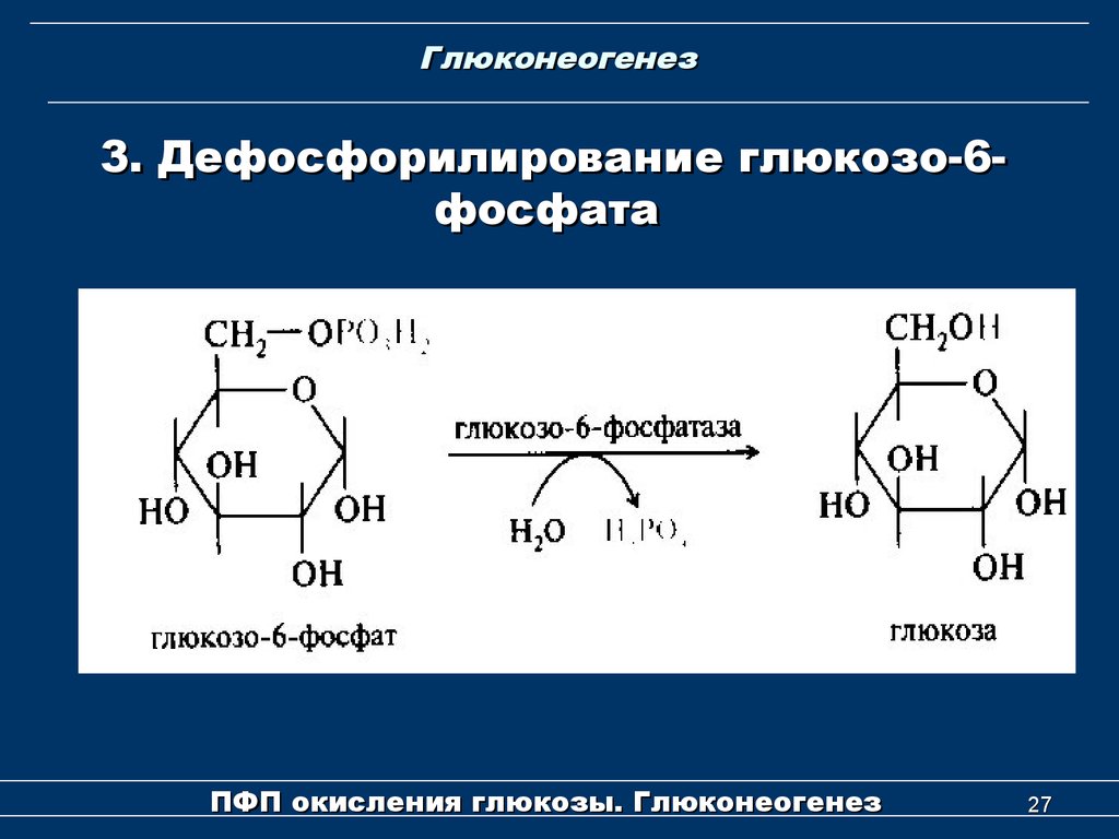 Фосфатаза реакции. Реакция дефосфорилирования глюкозо-6-фосфат. Реакция катализируемая глюкозо 6 фосфатазой. Глюкозо 6 фосфат фосфатаза. Реакция дефосфорилирования Глюкозы 6 фосфат.