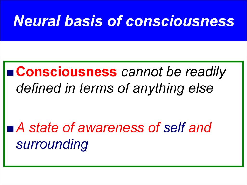 Neural basis of consciousness