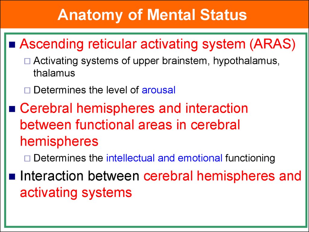 Anatomy of Mental Status