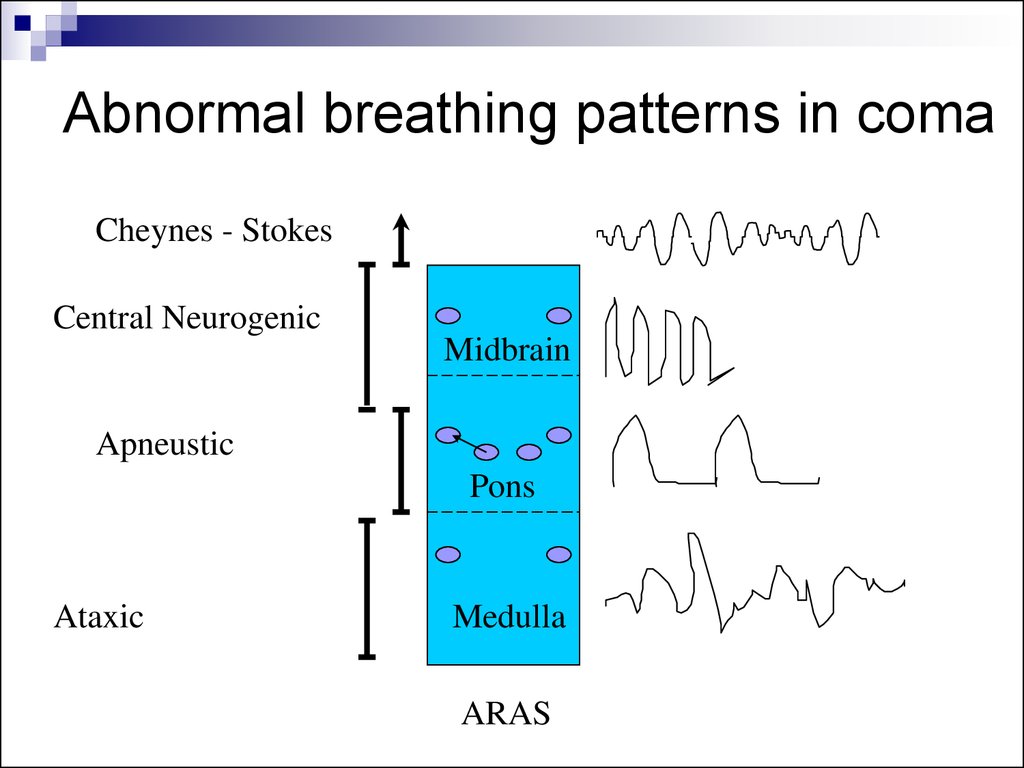 Types Of Abnormal Breathing Patterns