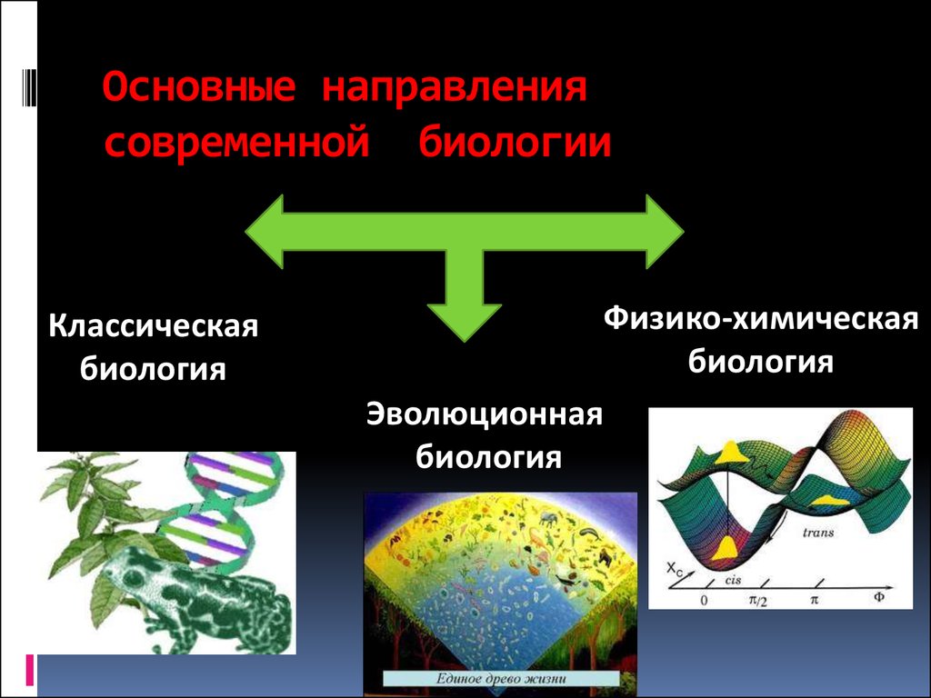 Методы познания живой природы проект 5 класс