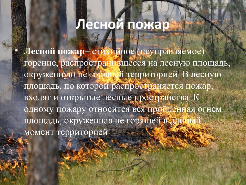 Лесной пожар задачи. Лесные пожары описание. Лесные пожары презентация. Лесной пожар это определение. Доклад на тему Лесные пожары.