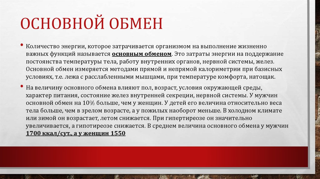 Основной обмен