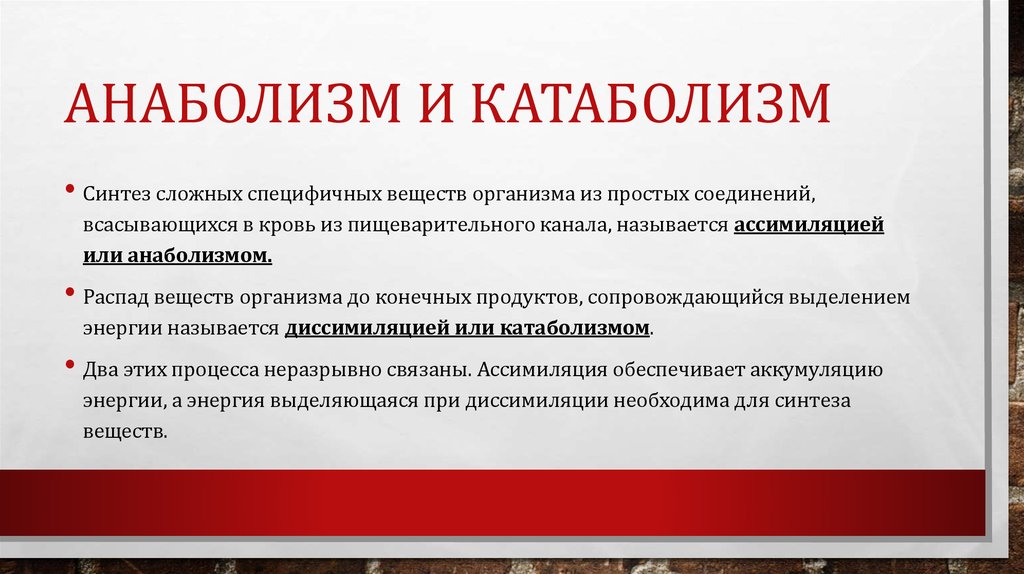 Основные закономерности катаболизма и анаболизма. В ходе анаболизма происходит биосинтез сложных. Анаболические процессы примеры. Анаболизм. В ходе анаболизма происходит биосинтез сложных.