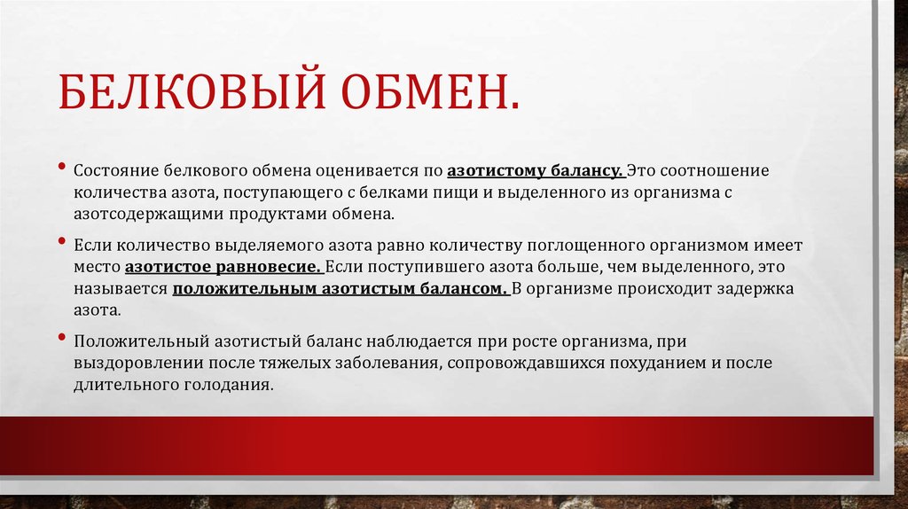 Белковый обмен.