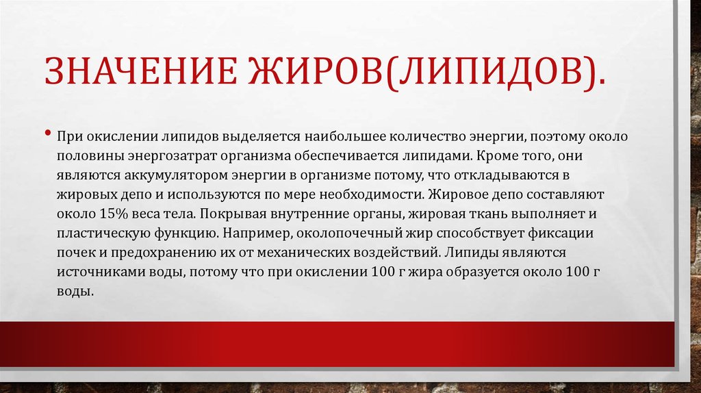 Значение жиров(липидов).