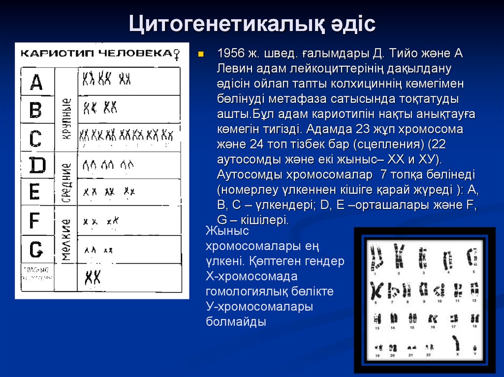 Цитогенетический метод. Цитогенетический метод генетики. Цитогенетический мето. Цитогенетический метод что такое цитогенетический метод.