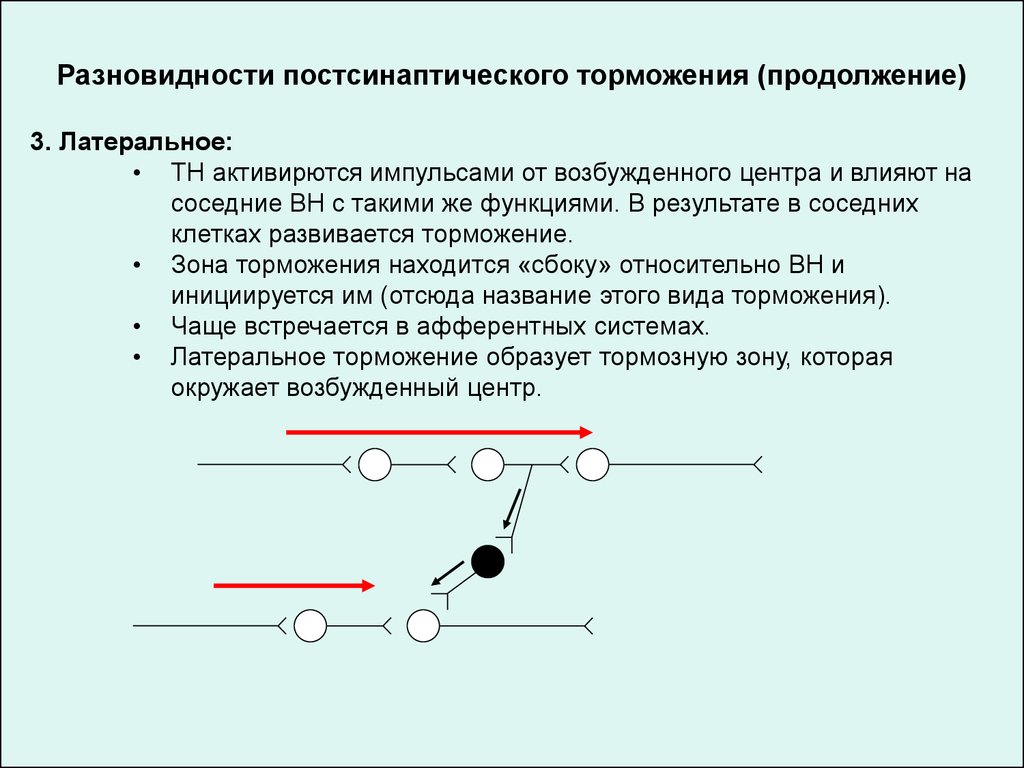 Латеральное торможение схема